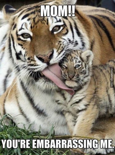 tiger-mom-kissing-child-embarrassing-way